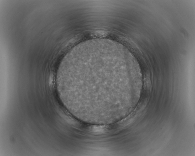 X0000111910134200909071204