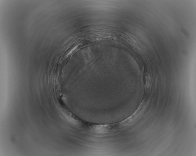 X0000111910136200909071204