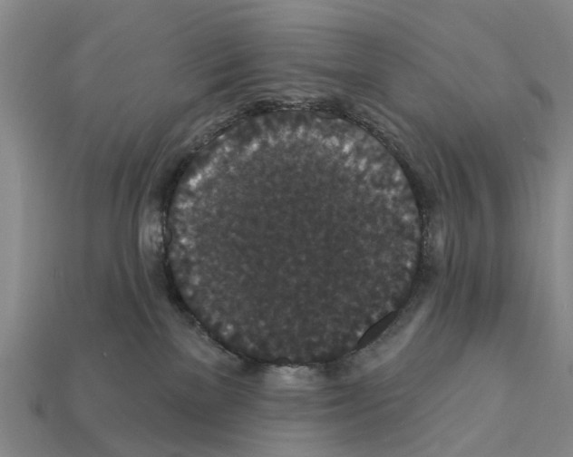 X0000111910137200909071204