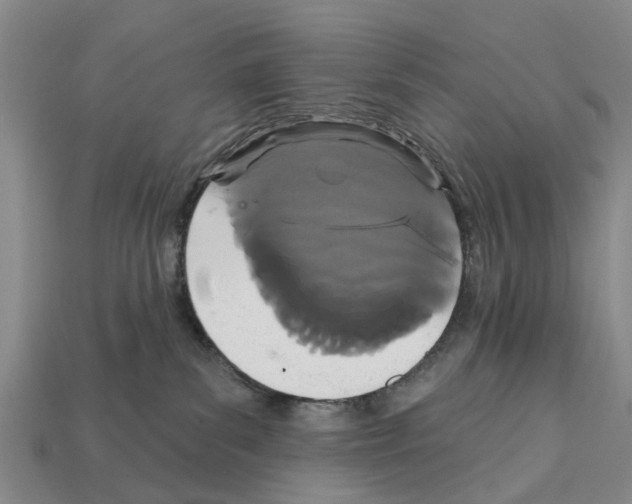 X0000111910139200909071204