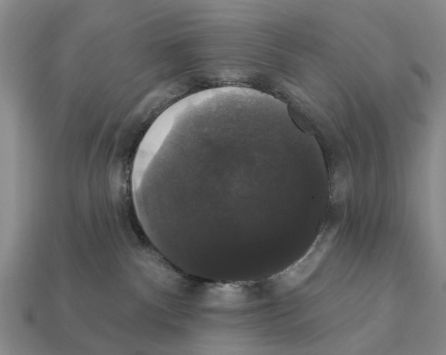 X0000111910140200909071204