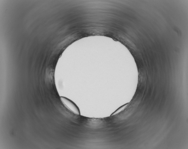 X0000111910141200909071204