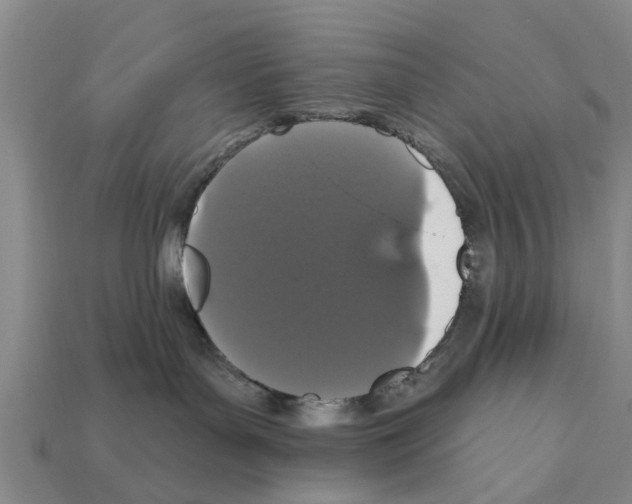X0000111910143200909071204