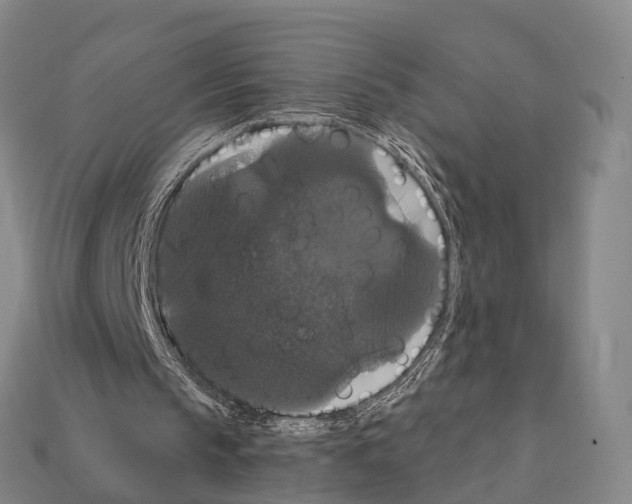 X0000111910145200909071204