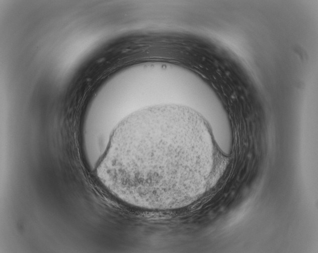 X0000111910146200909071204