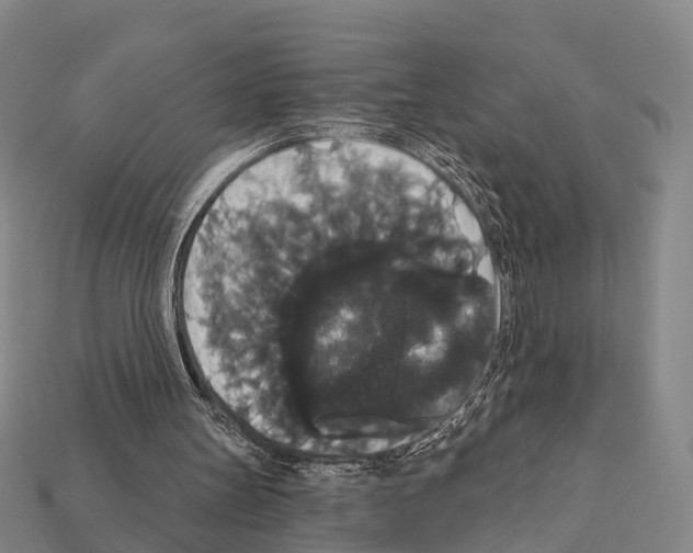 X0000111910147200909071204