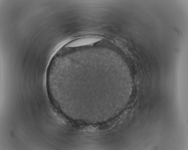 X0000111910148200909071204