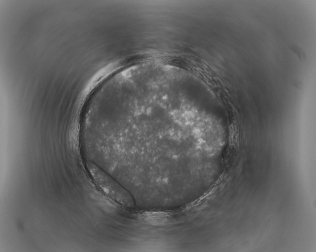 X0000111910150200909071204