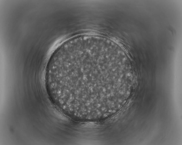X0000111910151200909071204