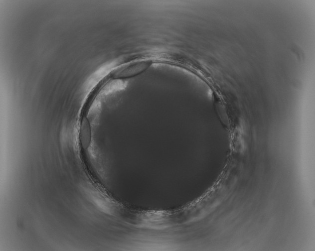 X0000111910152200909071204