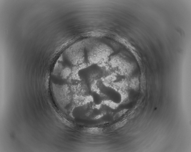 X0000111910153200909071204