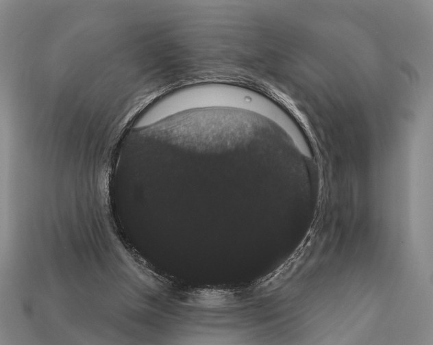 X0000111910154200909071204