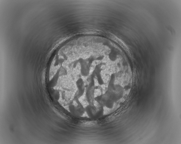X0000111910155200909071204