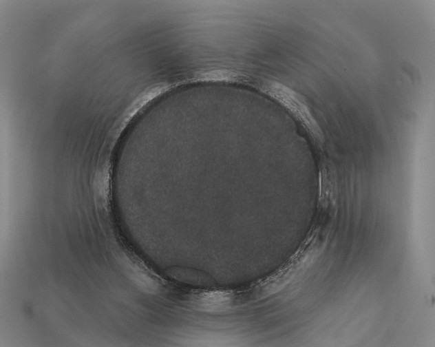 X0000111910156200909071204
