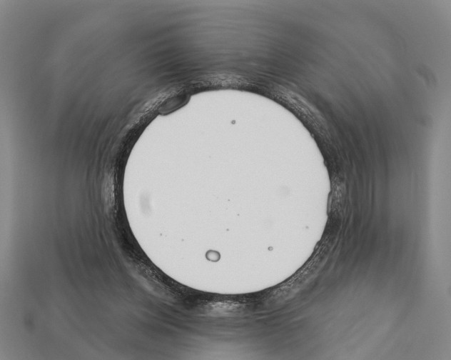 X0000111910158200909071204