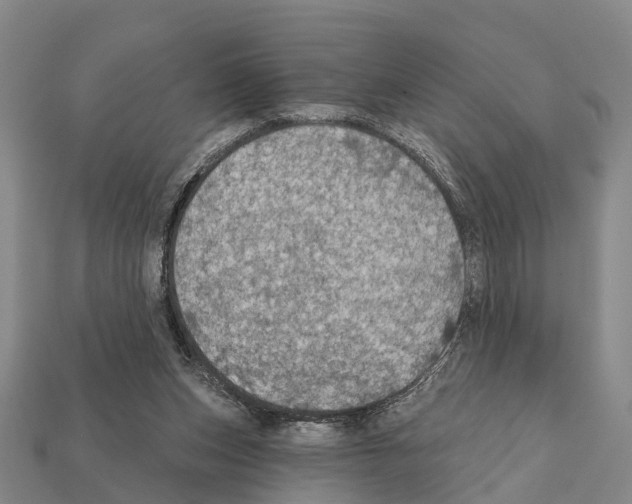 X0000111910159200909071204