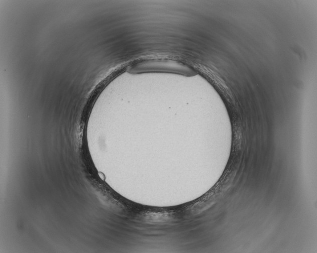 X0000111910160200909071204