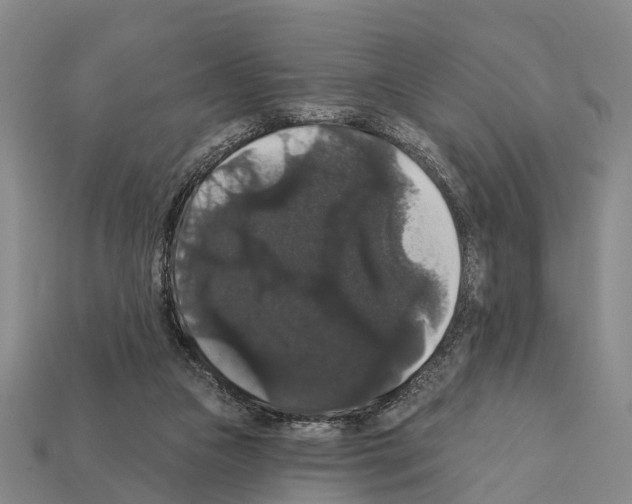 X0000111910161200909071204