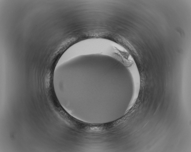 X0000111910163200909071204