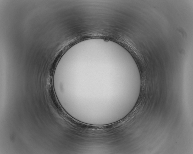 X0000111910164200909071204