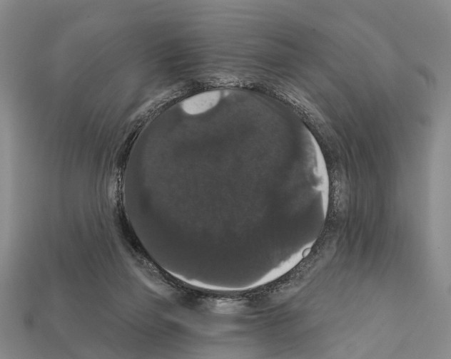 X0000111910165200909071204