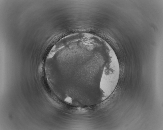 X0000111910166200909071204