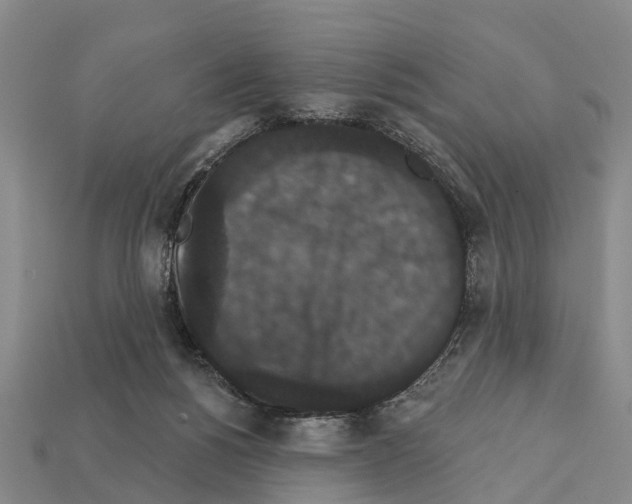 X0000111910168200909071204
