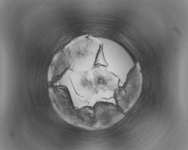 X0000111910169200909071204