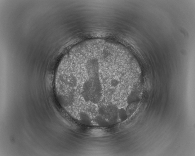 X0000111910171200909071204