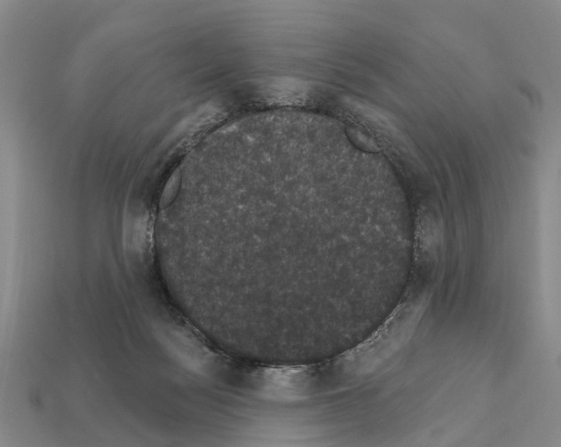 X0000111910172200909071204