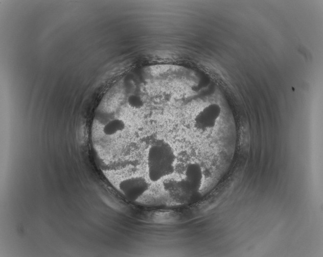 X0000111910173200909071204