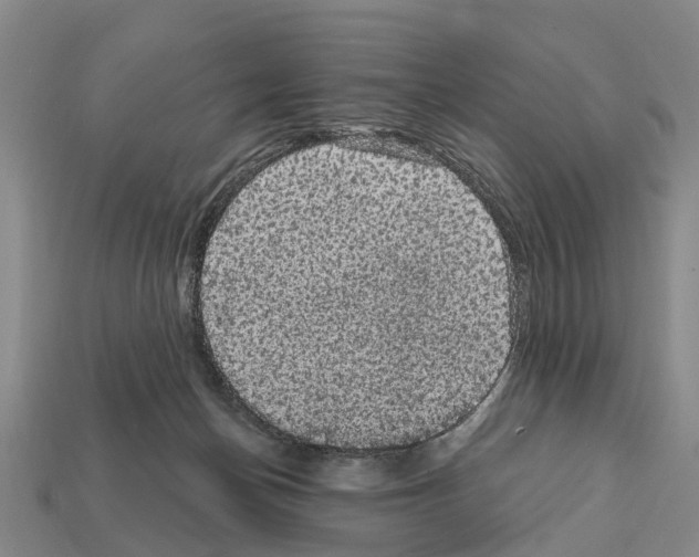 X0000111910174200909071204