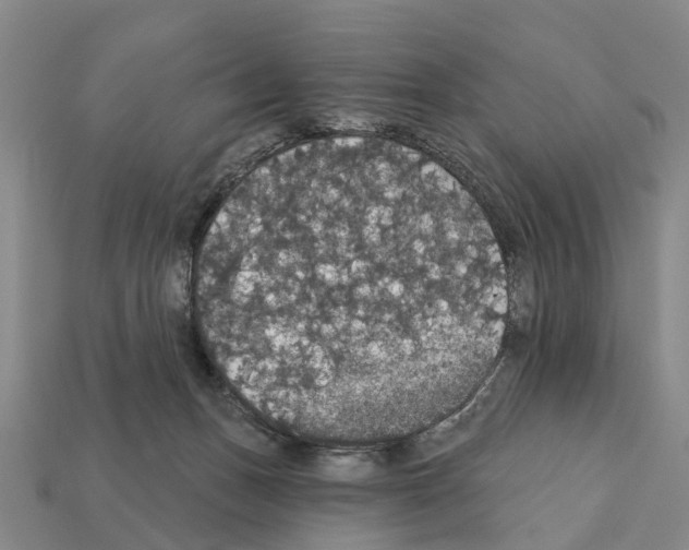 X0000111910175200909071204