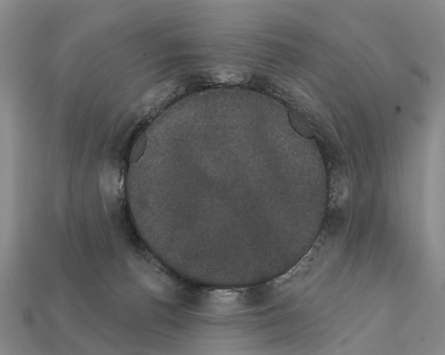 X0000111910176200909071204