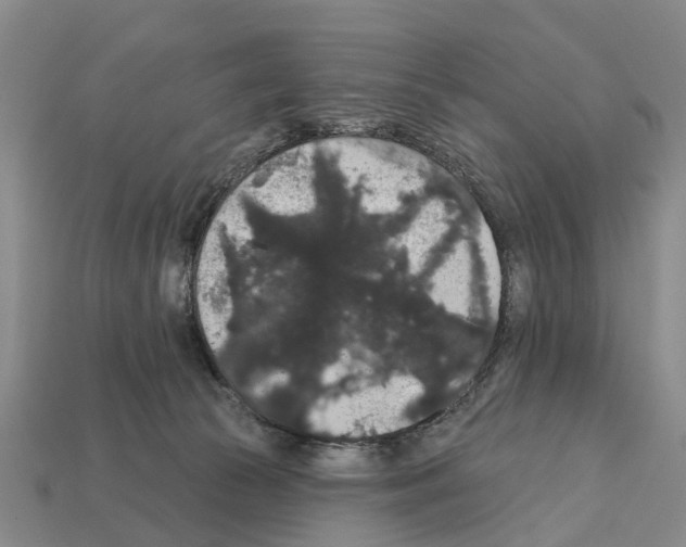 X0000111910177200909071204