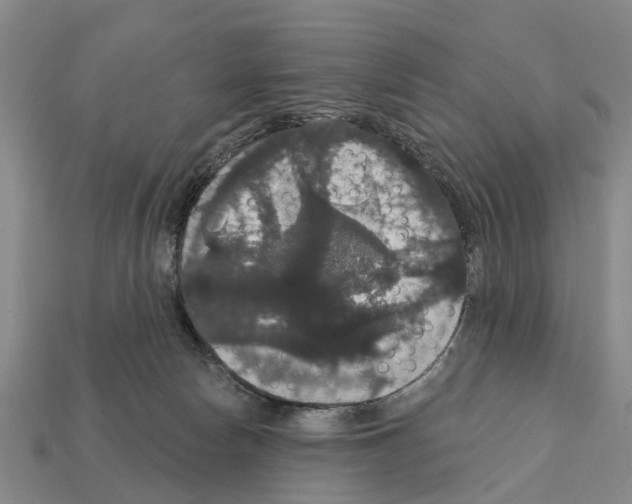 X0000111910178200909071204
