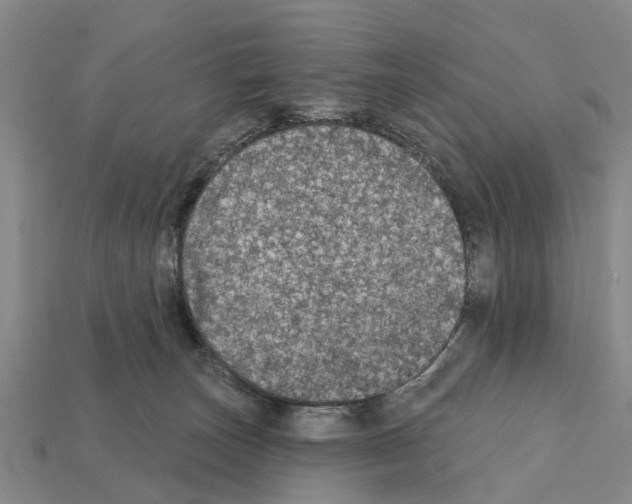X0000111910179200909071204