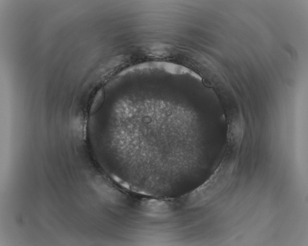 X0000111910180200909071204