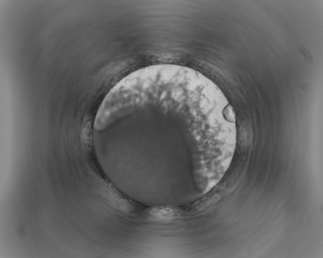X0000111910181200909071204