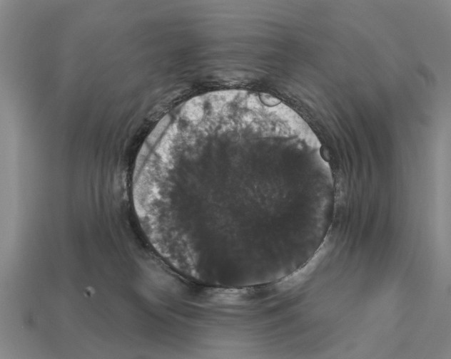 X0000111910182200909071204