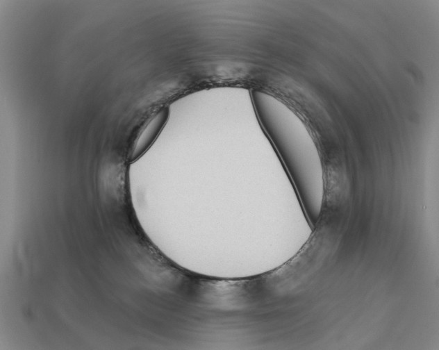 X0000111910184200909071204