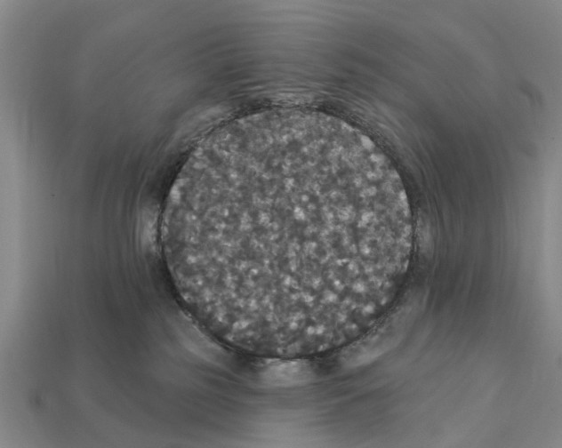 X0000111910185200909071204