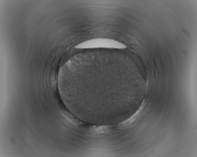 X0000111910186200909071204