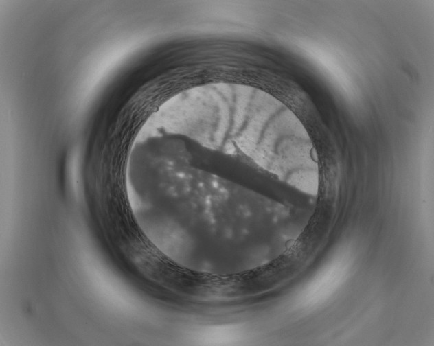 X0000111910189200909071204