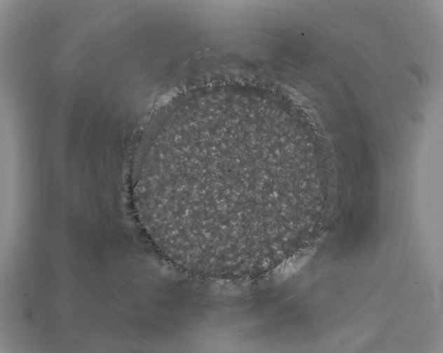 X0000111910192200909071204