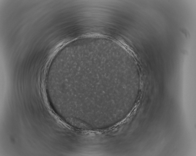 X0000111910193200909071204