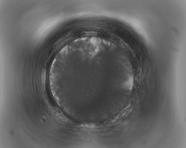 X0000111910194200909071204