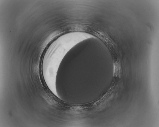 X0000111910195200909071204