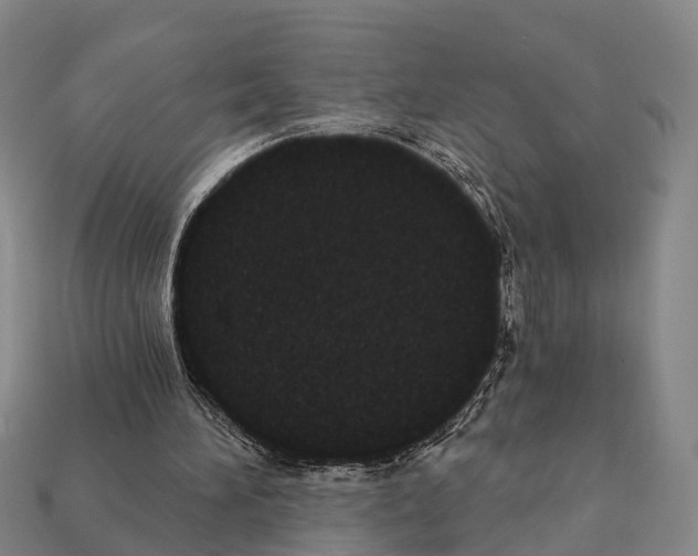 X0000111910196200909071204