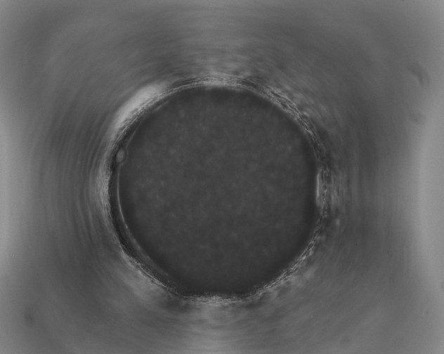 X0000111910197200909071204